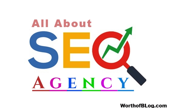 All about SEO Agency for your needs - Worth of BLog